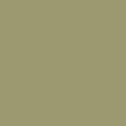 Olive Green U640 ST9
