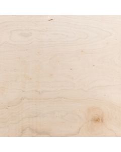 BB/CC T&G Hardwood Ply