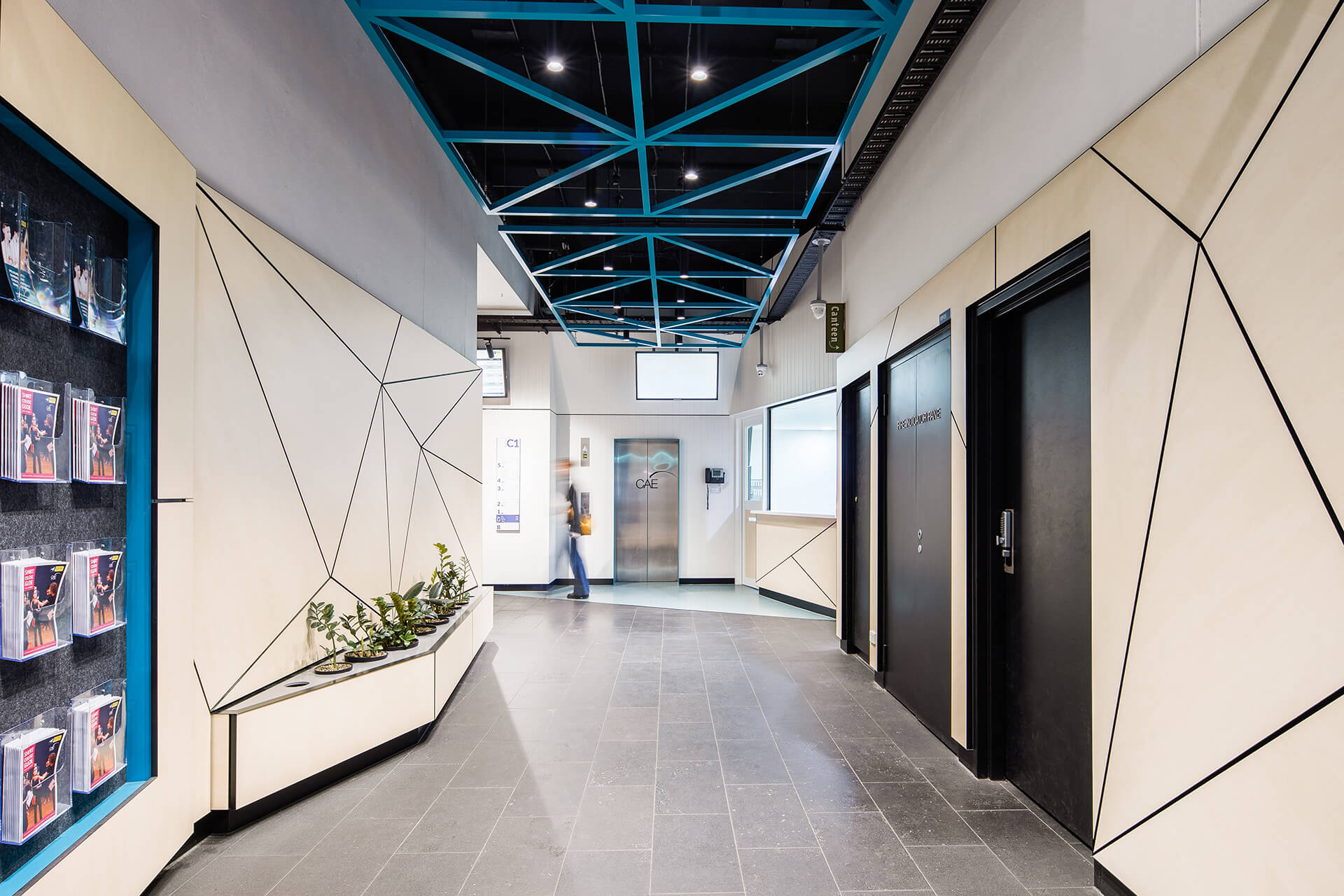 EGGER Mainau Birch on Flammex Panels